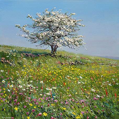 Meadow Flowers and Mayblossom, Hollinsclough